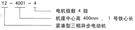 YR系列(H355-1000)高压ZSN4-225-11三相异步电机西安西玛电机型号说明